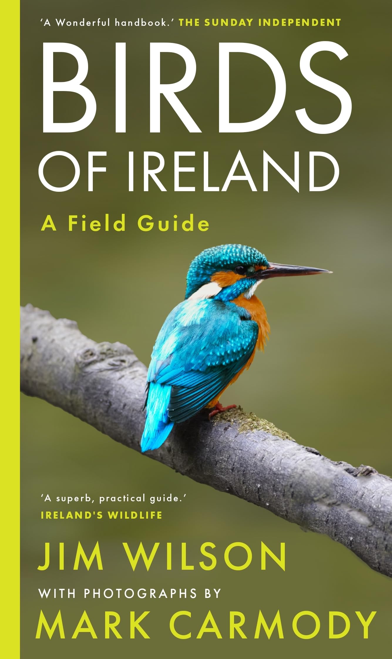 洋書 Birds of Ireland: Facts,Folklore,History 71+P3nGxDzL.jpg